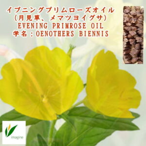 イブニングプリムローズオイル(月見草油)