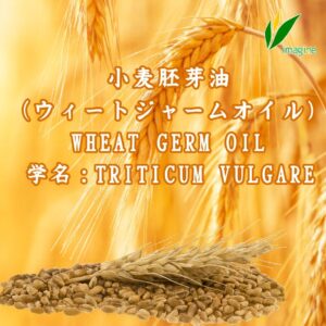 小麦胚芽油(ウィートジャームオイル)
