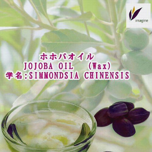 ホホバオイル／天然植物性の油としては唯一の液状エステル油（ロウエステル）です。