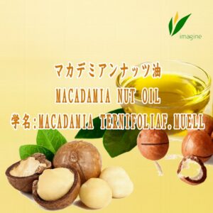 マカダミアナッツ油