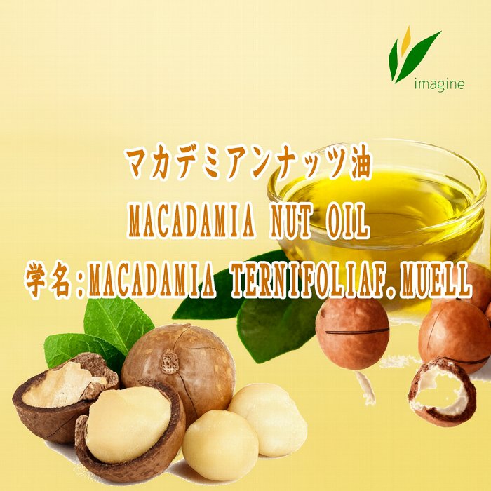 マカダミアナッツ油 MACADAMIA NUT OIL 学名:MACADAMIA TERNIFOLIA F. MUELL 主成分のオレイン酸のほか、パルミトレイン酸を25％近く含有しています。