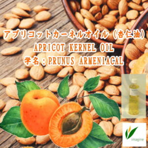 アプリコットカーネルオイル(杏仁油)