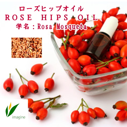 ROSE HIPS OIL 学名：Rosa mosqueta チリ・アンデス山脈に自生するドッグローズの実から抽出された植物油です。