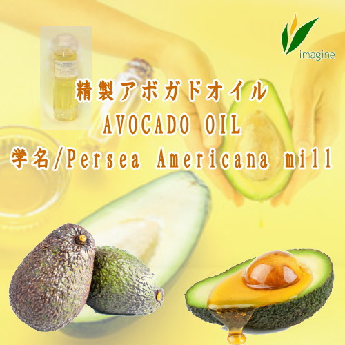 精製アボカド油