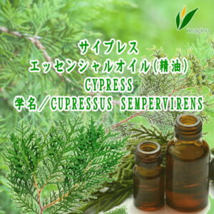 サイプレス／エッセンシャルオイル（精油）
