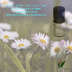 カモミールブルー（ジャーマン）／エッセンシャルオイル（精油）