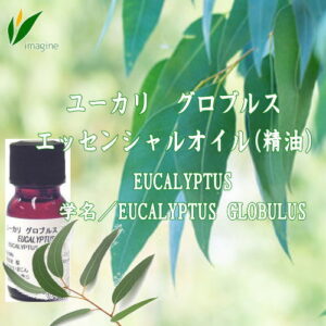 ユーカリ グロブルス エッセンシャルオイル（精油）