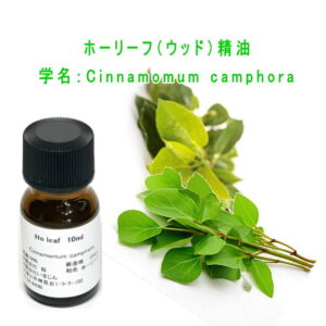 ホーリーフ（ウッド） エッセンシャルオイル（精油）