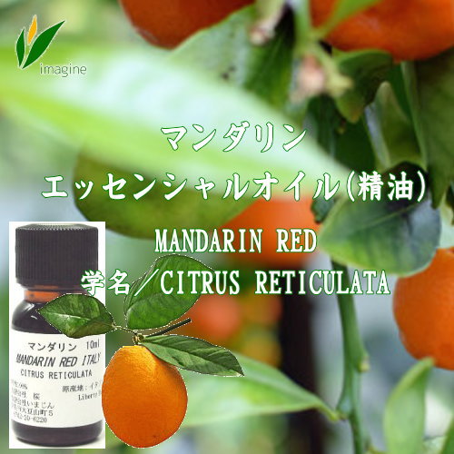 マンダリン エッセンシャルオイル（精油） MANDARIN RED 柑橘系ならではのフレッシュさに、フローラル調のやさしい甘さをあわせ持つマンダリン精油です。オレンジよりも繊細でまろやかな香りが特長で、リラックスタイムやアロマブレンドにも人気があります。