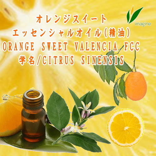 オレンジスイート／エッセンシャルオイル（精油） ORANGE SWEET VALENCIA FCC 学名：Citrus sinensis 甘くフルーティーな、みかんを思わせる親しみやすい香りの精油です。