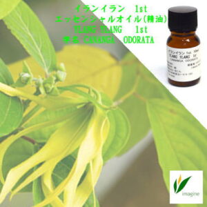 イランイラン 1st／エッセンシャルオイル（精油）